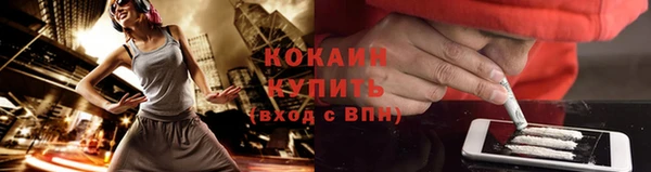 стафф Верхний Тагил