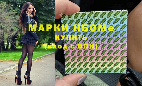 стафф Верхний Тагил