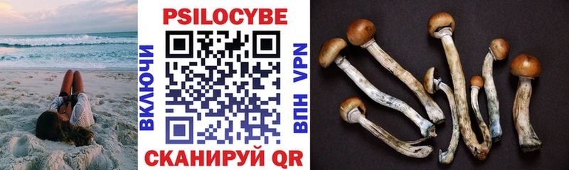 Галлюциногенные грибы GOLDEN TEACHER  Купить  Михайлов 